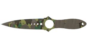 Boreal Forest image