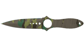 Boreal Forest image