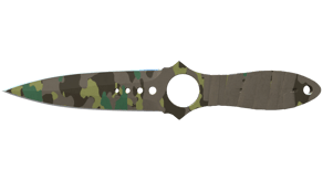Boreal Forest image
