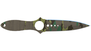 Boreal Forest image