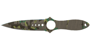 Boreal Forest image