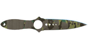Boreal Forest image
