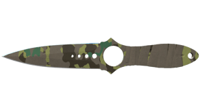 Boreal Forest image