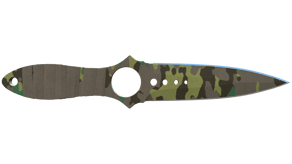 Boreal Forest image
