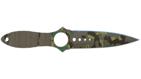 Boreal Forest image