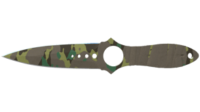 Boreal Forest image