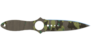 Boreal Forest image