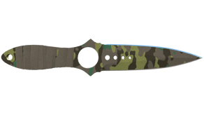 Boreal Forest image