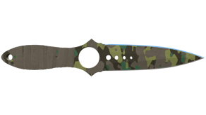 Boreal Forest image