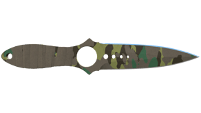Boreal Forest image