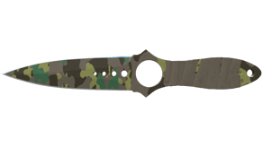 Boreal Forest image