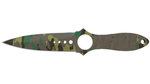 Boreal Forest image
