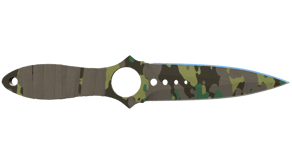 Boreal Forest image