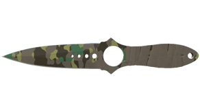 Boreal Forest image
