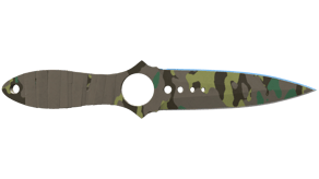 Boreal Forest image