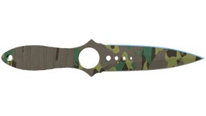Boreal Forest image
