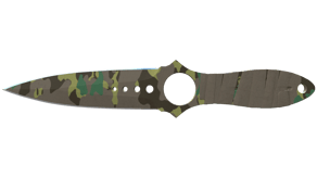 Boreal Forest image