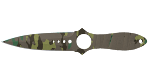 Boreal Forest image