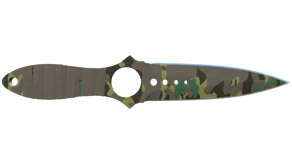 Boreal Forest image