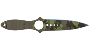 Boreal Forest image