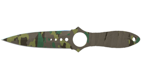 Boreal Forest image
