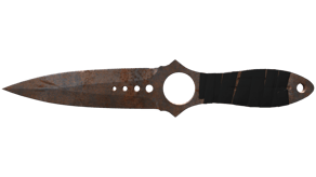 Rust Coat image