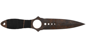 Rust Coat image