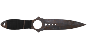 Rust Coat image