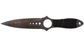 Rust Coat image