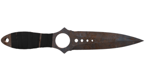 Rust Coat image