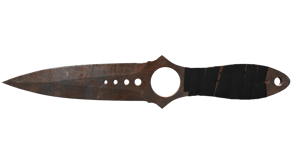 Rust Coat image
