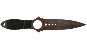 Rust Coat image