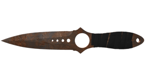 Rust Coat image