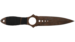 Rust Coat image