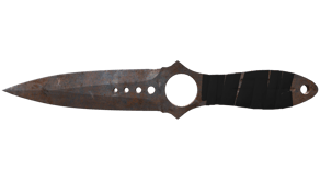 Rust Coat image