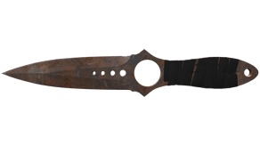 Rust Coat image