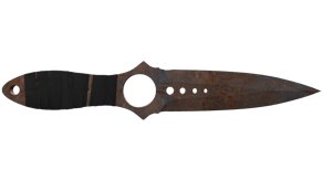 Rust Coat image