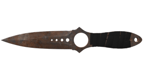 Rust Coat image