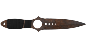 Rust Coat image