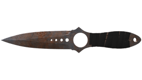 Rust Coat image