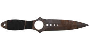 Rust Coat image