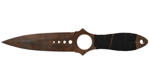 Rust Coat image