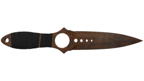Rust Coat image