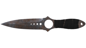 Rust Coat image