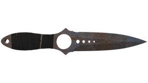 Rust Coat image