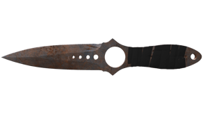 Rust Coat image