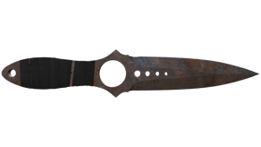 Rust Coat image