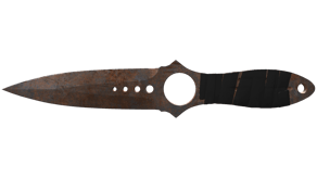 Rust Coat image