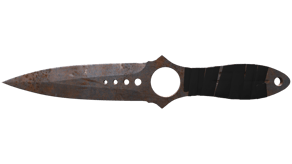 Rust Coat image