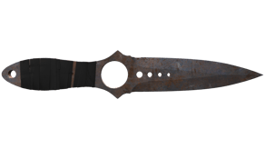 Rust Coat image